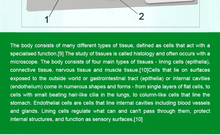 007 histology slides.jpg