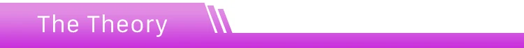 The Theory.jpg