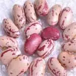 light speckled kidney beans (round shape 03).jpg