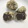 /product-detail/wild-dried-white-truffle-whole-prices-60588119335.html