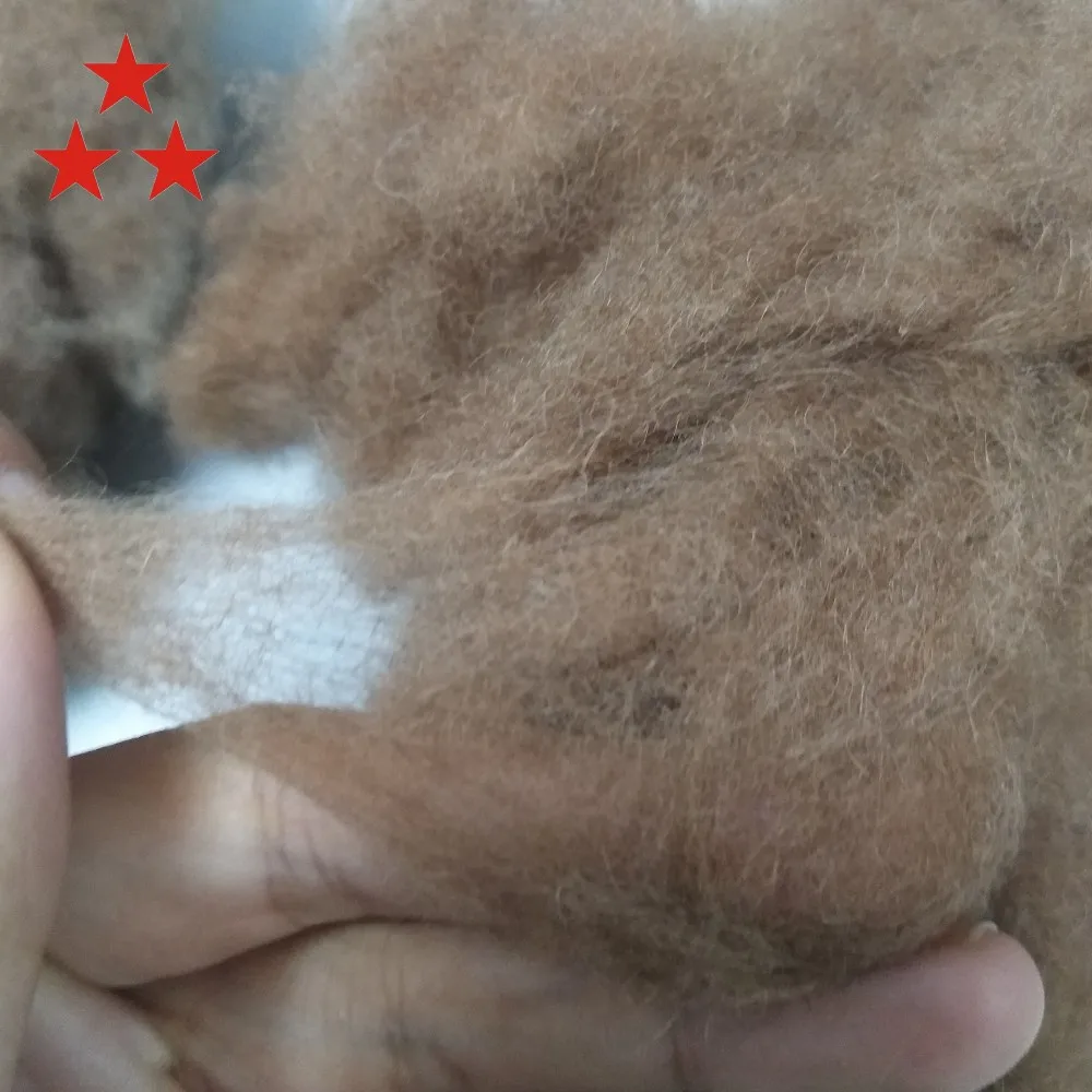 Newest Camel Hair Fiber A Million 18.5mic Buy Camel Hair,Camel Fiber