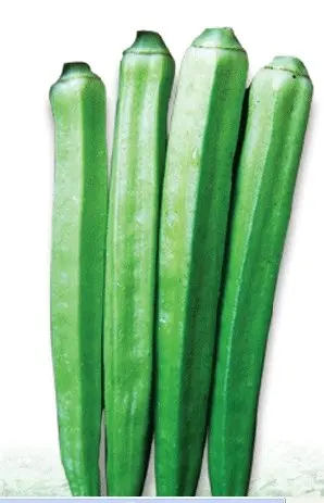 Hybrid-Okra-seeds.jpg