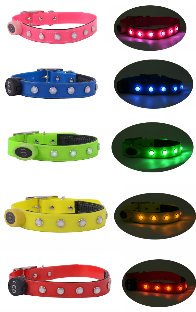 Amazon 2018 Led Flashing Dog Collar And Matching Dog Leash Sex Dog