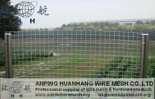 40472.6903387153_zhw_013_nEO_IMG