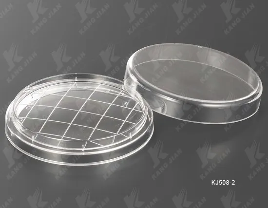 Agar Plates Eowpower 20 Pack Sterile Plastic Petri Dish Tissue Culture Plate 90x15mm With 20pcs 2ml 3ml Plastic Transfer Pipettes Each Of 10pcs Petree Dishes