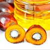 best selling automatic mustard oil machine and palm kernel oil extraction machine