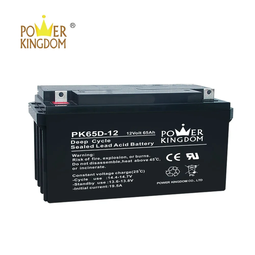 Power Kingdom Wholesale rechargeable gel batteries factory price solar and wind power system-3