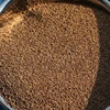 Walnut Shell polishing media(dry polishing)