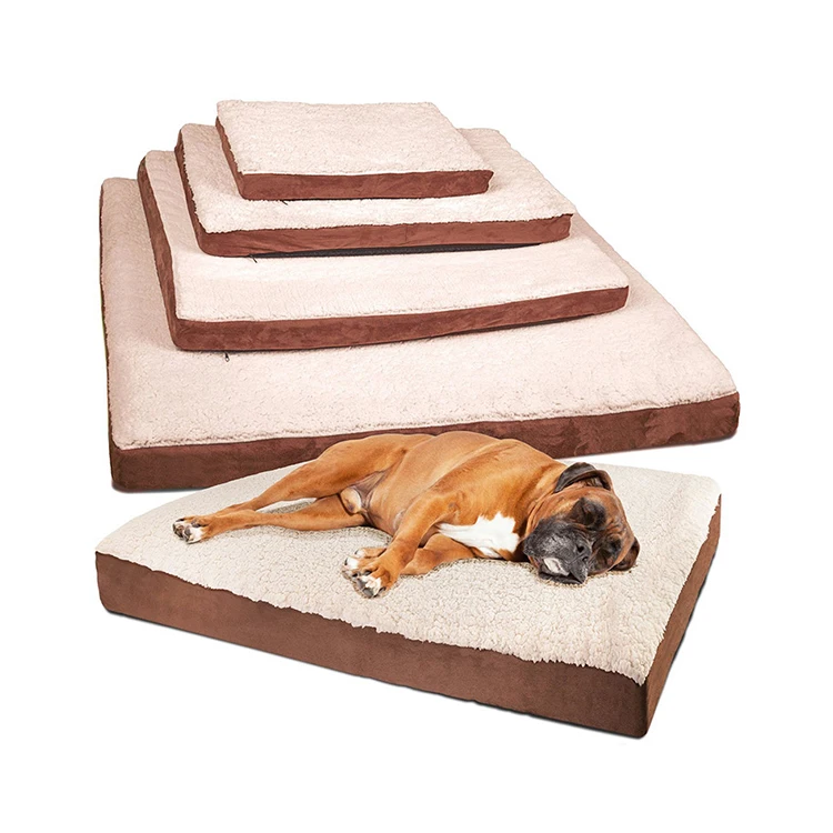 medium dog beds on sale