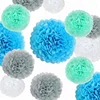 Wholesale Wedding /Birthday Party /Baby Showers Paper Flower Decorations Tissue Paper Pom Poms