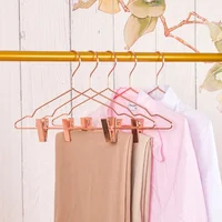 

Stainless steel Metal Wire Rose Gold Clothes Pant Hanger With clip