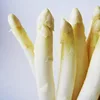 580ml newly canned white asparagus for sale
