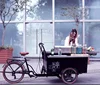 /product-detail/food-vendor-bike-barbecue-bike-60753978644.html