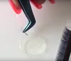 Quickly And Easily Make A Volume Fanning Customized Fan Sets Volume Lash Dot