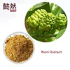 Best Selling Noni enzyme Powder Noni juice powder organic noni powder price, Morinda Citrifolia Extract