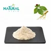 High Quality Ginseng Extract Ginseng Leaves Extract 80%