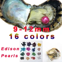 

fantipearl 10 pcs giant 9-12mm Colored Edison big large shell round AA+ grade pearls in oyster with vacuum packing