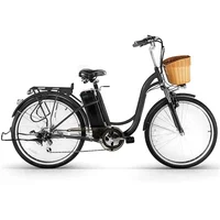 

DROP SHIPPING IN US! NAKTO Electric Bicycle Sporting 6 Speed Gear EBike with Removable 36V10A Lithium Battery,Charger an