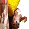 Power rotating cow cleaning, massage brush roller