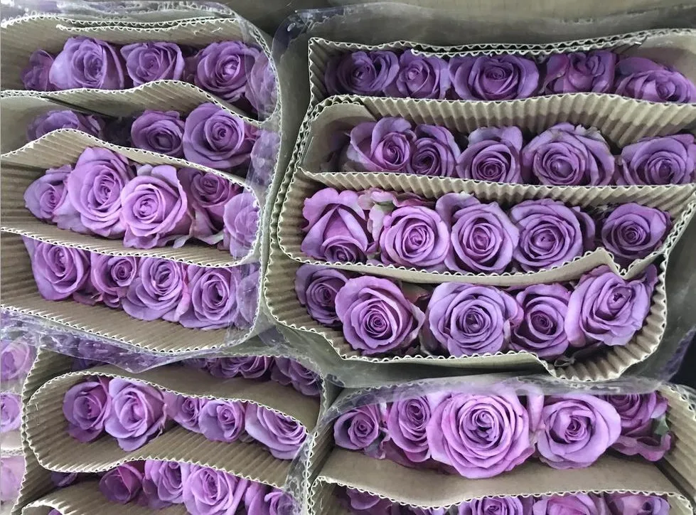 Send Flowers Online Next Day Flowers Bulk Fresh Flowers Online Acacia Mei Buy Bulk Fresh