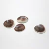 Polished color shell natural fossils for decoration wholesale