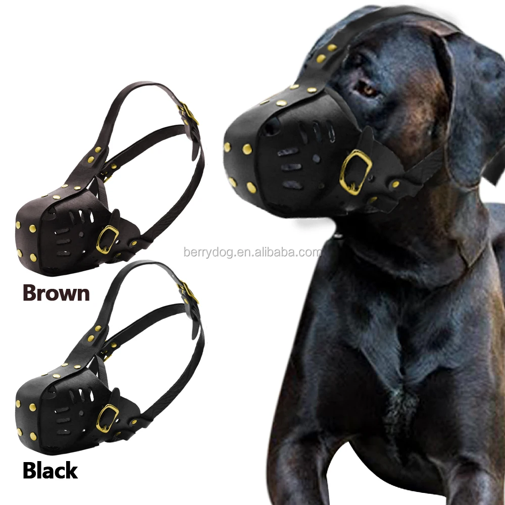 buy dog muzzle