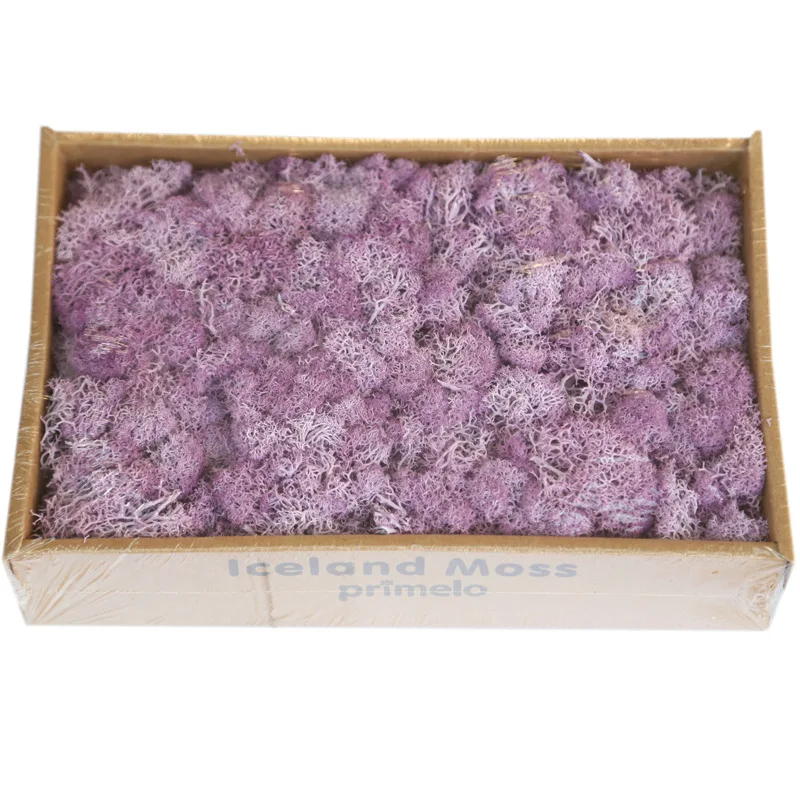 8954795703_1787692047