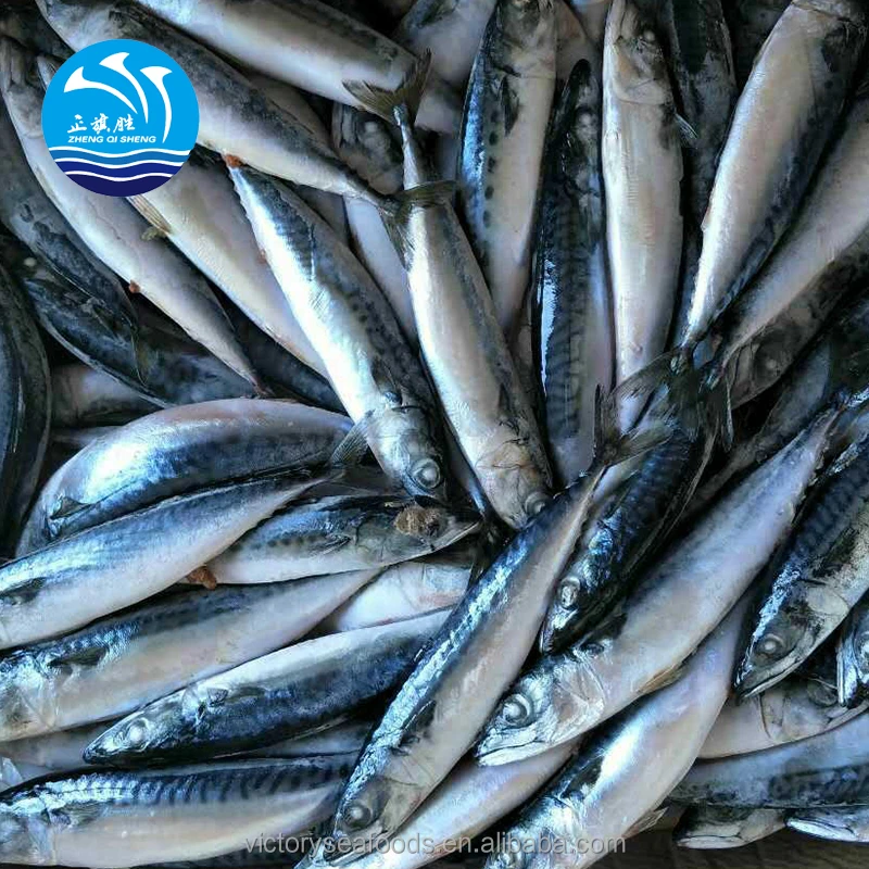 
Frozen Seafood Mackerel Fish 