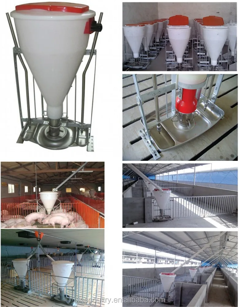 Used Hog Equipment For Sale Feeding System For Pigs Swine Feeding