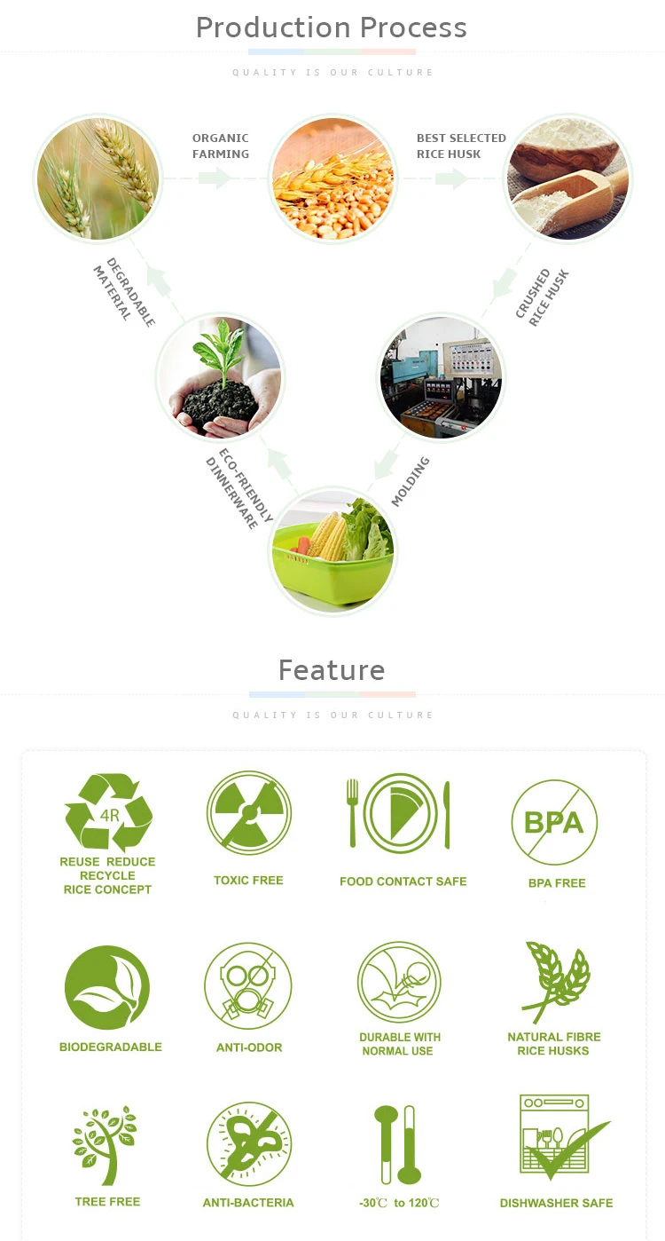Durable Simple Design Non-Toxic Space Cup