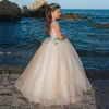 Skirt length and ground Flower girl dress for wedding and party ruffle dress applique