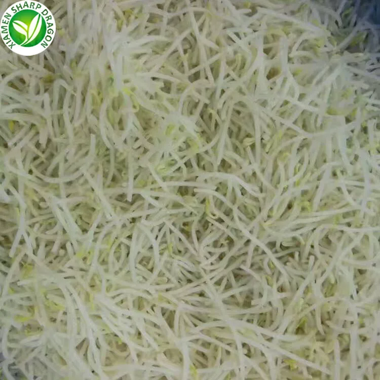 
IQF Greenhouse green frozen mung bean sprouts 