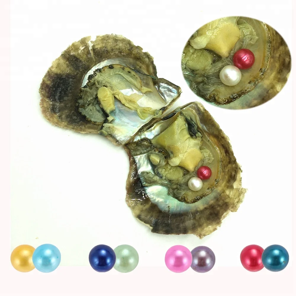 

Wholesale Twins  Mixed 30 Colors AAA Round Pearl in Akoya Oysters Vacuum-packed for Women Pearl Party DIY Jewellery