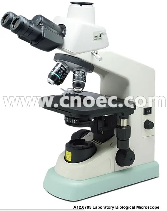 ニコン E100 1000x 生物高度顕微鏡/ニコン E-100 A12.0705 研究所