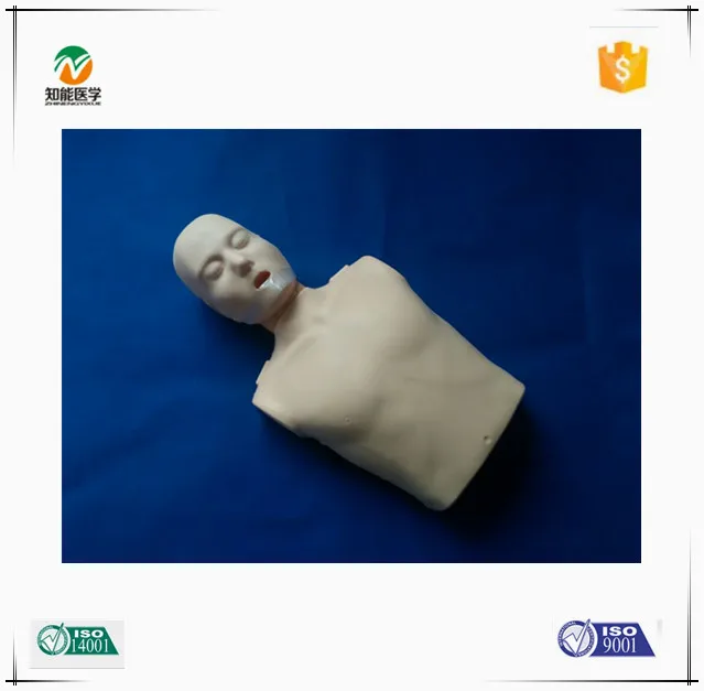 100B.jpg