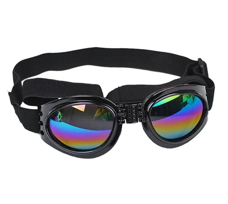 china dog sunglasses.JPG