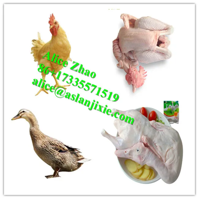 Poultry plucking machine18.jpg
