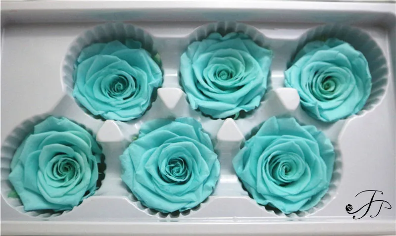 
Long lasting A grade 5-6 CM Ivory Real Preserved Flowers Roses Head for Home Decor 