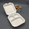 biodegradable tableware of sugarcane bagasse clamshell paper pulp packaging lunch box