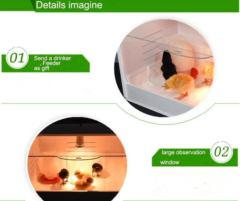 Fully Automatic Chicken Hatcher Brooder For Sale Cheap Price Chick