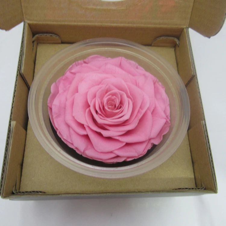 eternal rose flower.jpg