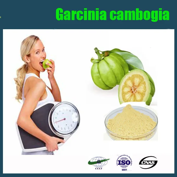Garcinia and blood pressure medication picture 4