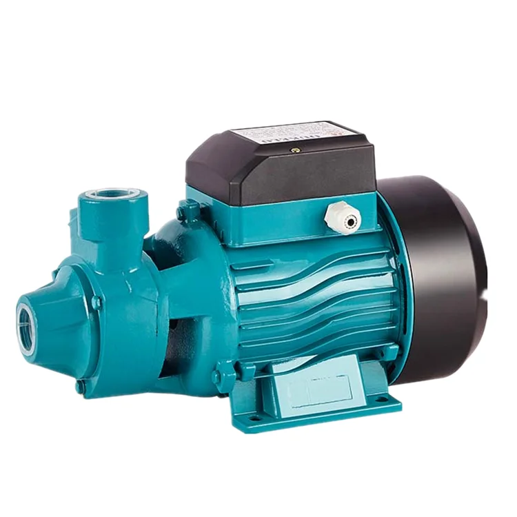 
Home Electric Motor Pumps Water Pump 