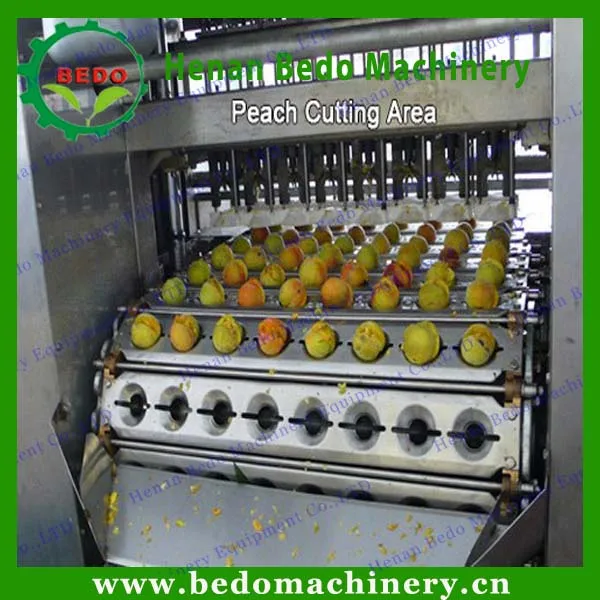 High Praised Fruit Seeds Removing Machine Olive Seed Remove Machine Cherry Seed Removing Machine Factory Price Buy Fruit Seed Remove Machine Olive Seed Remove Machine Cherry Seed Removing Machine Product On Alibaba Com