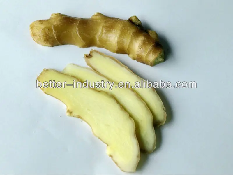 Eucalyptus/cinnamon Ginger Oil Extraction Machine For Plant Essential