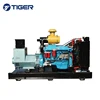 220KW high quality global warranty durable lister diesel generator sale