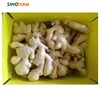 Good quality air dry ginger for Europe with pvc packing box