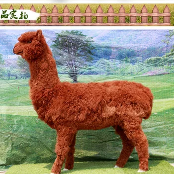 Download 80 Koleksi Gambar Hewan Alpaca Paling Baru HD