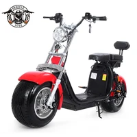 

EEC/CE APPROVED 2000W ELECTRIC SCOOTER CITYCOCO with FAT TIRES for ADULT at nice price