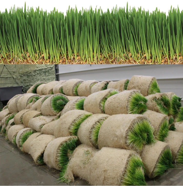 Hydroponic system 1.jpg